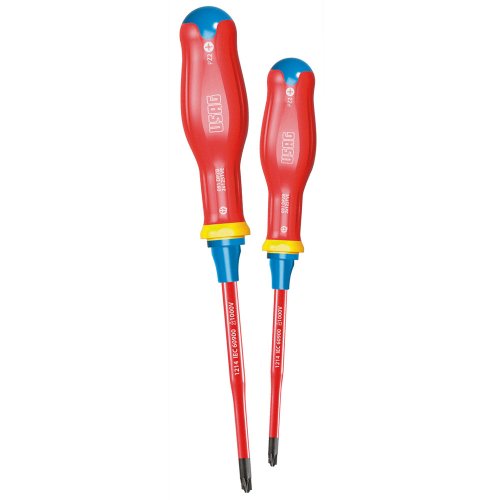 Usag 091 DPZB/SE2 - 2 cacciaviti 1000V impronta combinata