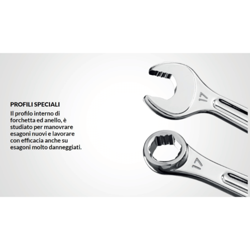 Serie di 12 chiavi combinate lunghe a profilo speciale USAG 285 X/SE12