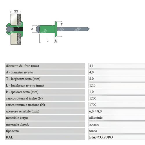 Rivetto acciaio alluminio RIVIT verniciato Ral bianco puro ø 4x12 mm