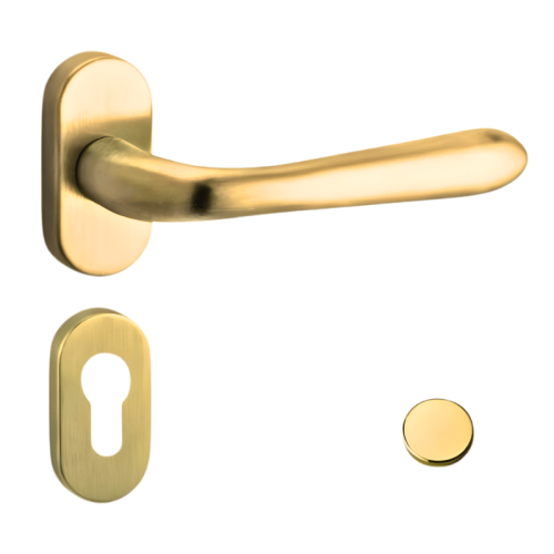 Coppia Maniglie Reguitti BETTY F83 con rosetta e bocchetta ovale foro patent - - ottone lucido