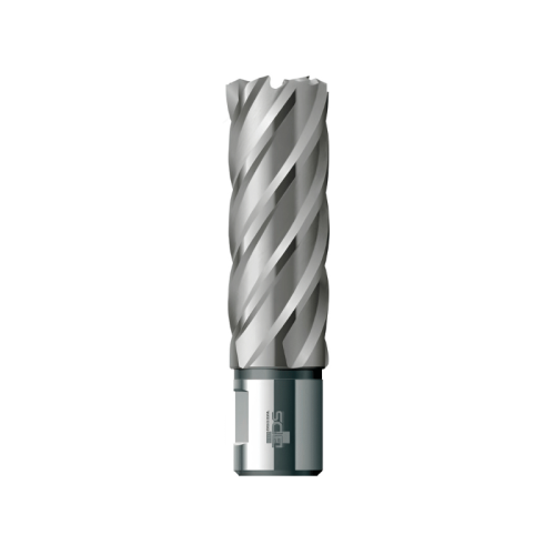 Fresa a corona BDS Maschinen KBL Weldon 19 serie lunga - ø mm 16,00