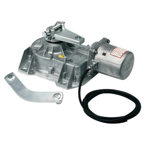 Motoriduttore interrato irreversibile 24V-DC Came 001FROG-A24