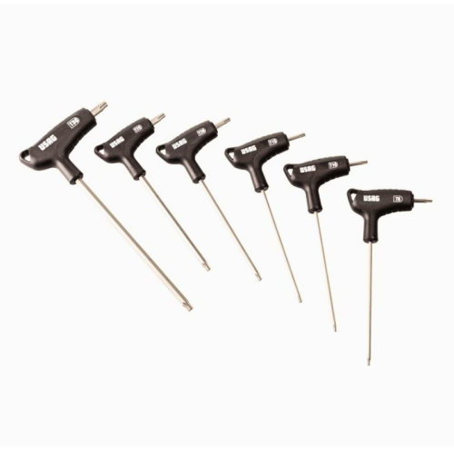 Serie 6 chiavi maschio TORX con impugnatura Usag 280 HXTX/SE6 X-Grip
