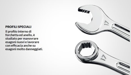 Serie di 12 chiavi combinate lunghe a profilo speciale USAG 285 X/SE12