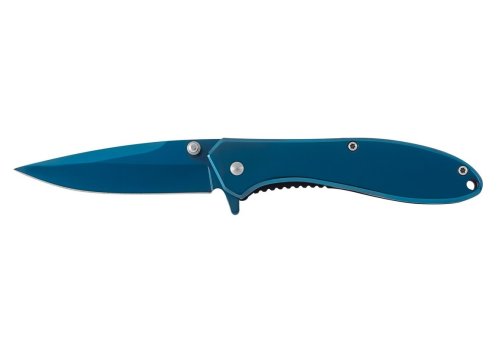 Coltello tascabile in metallo lucido con lama in acciaio inox 17,5cm Ausonia 26595