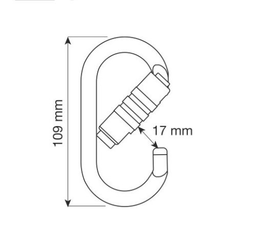 Moschettone in acciaio OVAL PRO 2LOCK CAMP 1878