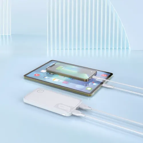 Power bank Lostech LS-94 doppia uscita USB 10000mAh - - bianco