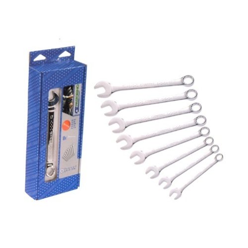 Serie di 8 chiavi combinate (forchetta e poligonali) Expert E110300P